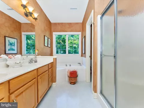 Bath - 207 Rod Cir, Middletown, MD 21769 photo 3 of 6