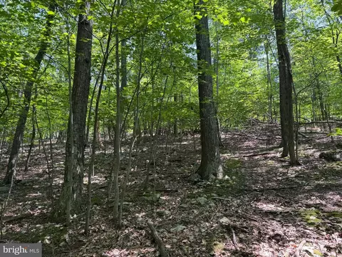 Other - 14527 Tower Rd, Smithsburg, MD 21783 photo 13 of 20