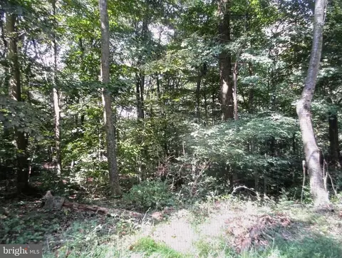 Tower Road Parcel 9, Smithsburg, MD 21783 photo 5