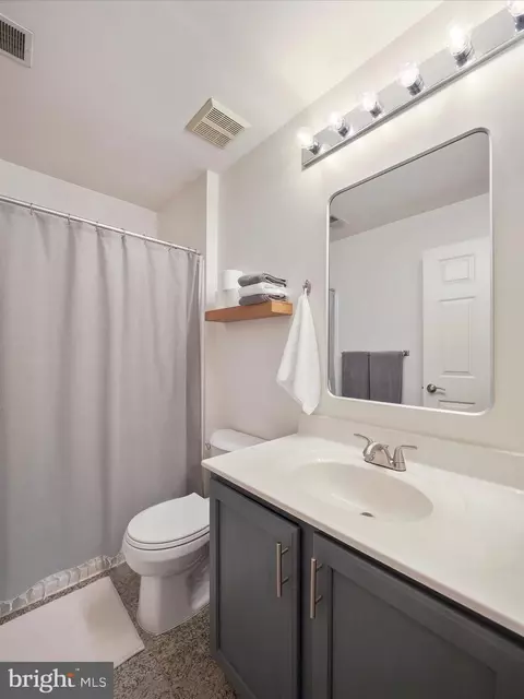 Bath - 3 N Pointe Ter, Middletown, MD 21769 photo 4 of 5