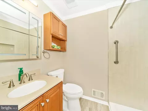 6915 Alex Ct, Frederick, MD 21703 photo 26