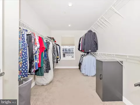 5257 American Beech St, Frederick, MD 21703 photo 24