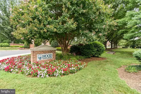 Other - 246 W 5th St, Frederick, MD 21701 photo 10 of 12