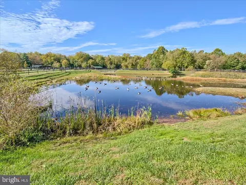 4654 Cambria Rd, Frederick, MD 21703 photo 46
