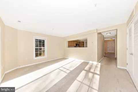 Living - 256 W 14th St, Frederick, MD 21701 photo 4 of 6
