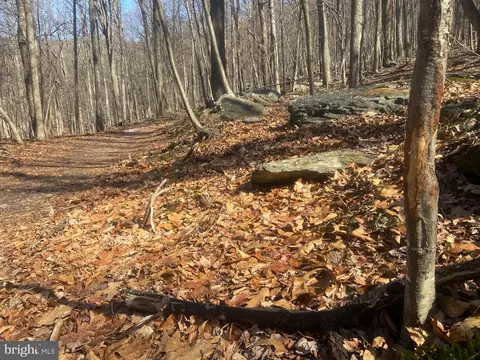 Other - 8939 Hawbottom Rd, Middletown, MD 21769 photo 27 of 58
