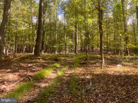 Other - 8939 Hawbottom Rd, Middletown, MD 21769 photo 43 of 58