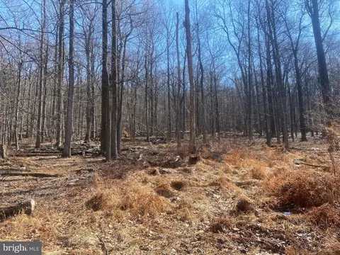 Other - 8939 Hawbottom Rd, Middletown, MD 21769 photo 32 of 58