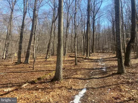 Other - 8939 Hawbottom Rd, Middletown, MD 21769 photo 23 of 58