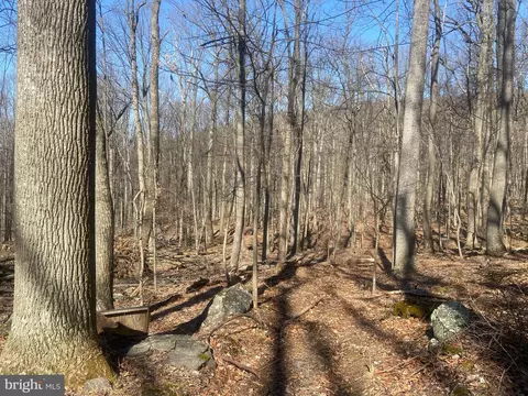 Other - 8939 Hawbottom Rd, Middletown, MD 21769 photo 29 of 58