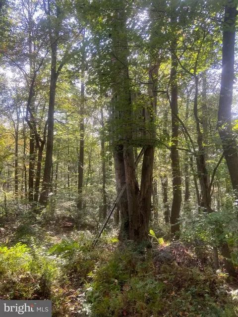 Other - 8939 Hawbottom Rd, Middletown, MD 21769 photo 48 of 58