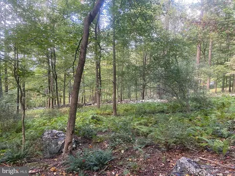 Other - 8939 Hawbottom Rd, Middletown, MD 21769 photo 41 of 58