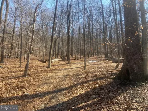 Other - 8939 Hawbottom Rd, Middletown, MD 21769 photo 22 of 58