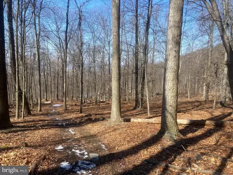 Other - 8939 Hawbottom Rd, Middletown, MD 21769 photo 26 of 58