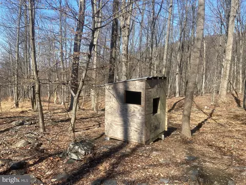 Other - 8939 Hawbottom Rd, Middletown, MD 21769 photo 31 of 58