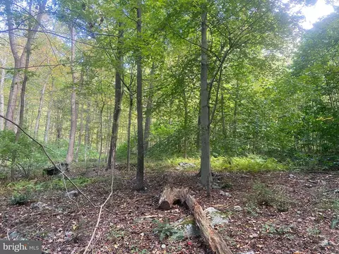 Other - 8939 Hawbottom Rd, Middletown, MD 21769 photo 42 of 58