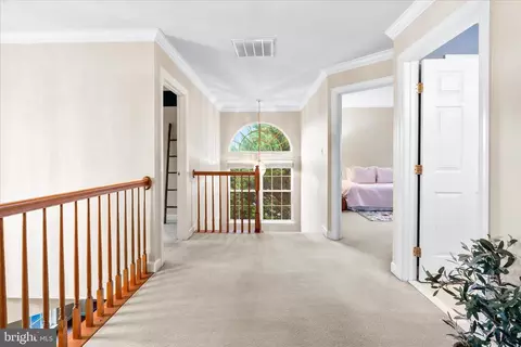 9054 Seward St, Frederick, MD 21704 photo 19