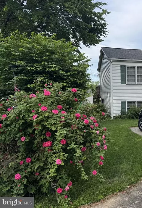 Other - 274 Longford Dr, Frederick, MD 21702 photo 10 of 11