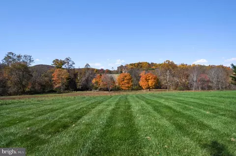 Other - 1402 Thurston Rd, Dickerson, MD 20842 photo 17 of 20