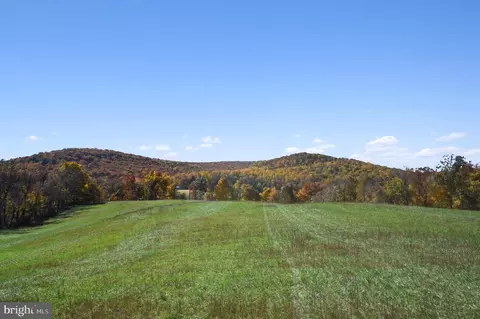 Other - 1402 Thurston Rd, Dickerson, MD 20842 photo 18 of 20