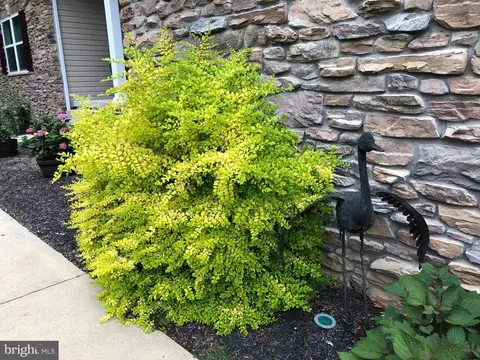 Exterior - 7206 Drought Spring Dr, Frederick, MD 21702 photo 6 of 11
