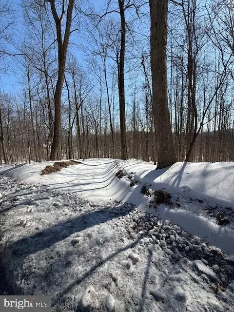 Boonsboro Mt. Road, Myersville, MD 21773