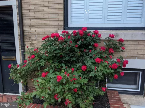 Exterior - 13 2nd, Frederick, MD 21701 photo 3 of 4
