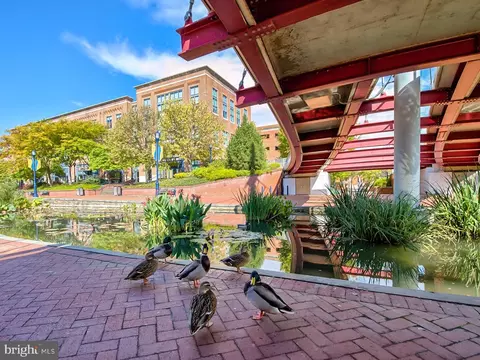 Other - 717 Motter Ave, Frederick, MD 21701 photo 52 of 52