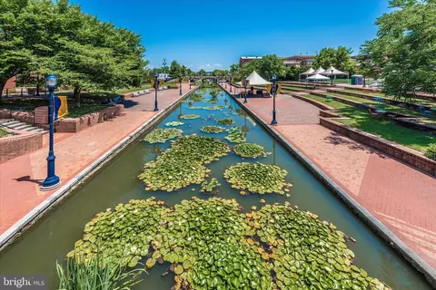 View/Area - 35 E All Saints St #211, Frederick, MD 21701 photo 3 of 3