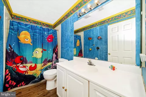 Bath - 9534 Liberty Rd, Frederick, MD 21701 photo 4 of 5