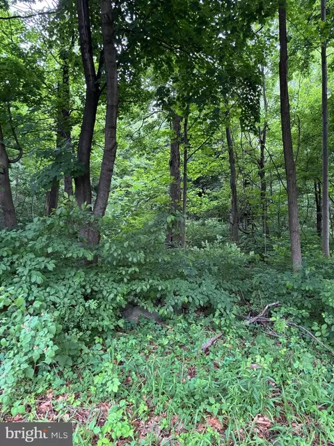 5706 Ridge Rd, Cascade, MD 21719 photo 2