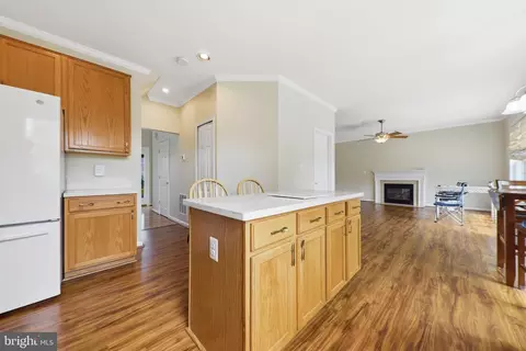 Other - 612 Bushytail Dr, Frederick, MD 21703 photo 4 of 18