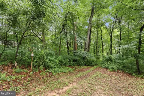 4990 Flossie Ave, Frederick, MD 21703 photo 38