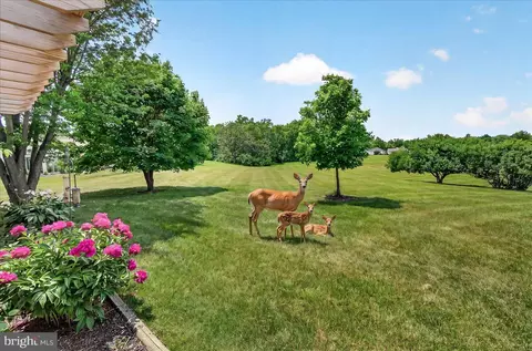 Other - 7047 Catalpa Rd, Frederick, MD 21703 photo 15 of 55