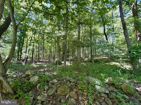 Exterior - 10121 Putman Rd, Frederick, MD 21702 photo 7 of 8