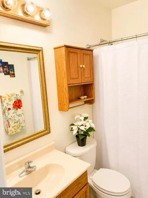 Bath - 4989 Pintail Ct, Frederick, MD 21703 photo 2 of 3