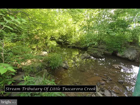 View/Area - 6759 Meadowside Dr, Frederick, MD 21702 photo 5 of 6