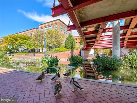 Other - 902 Pine Ave, Frederick, MD 21701 photo 23 of 29