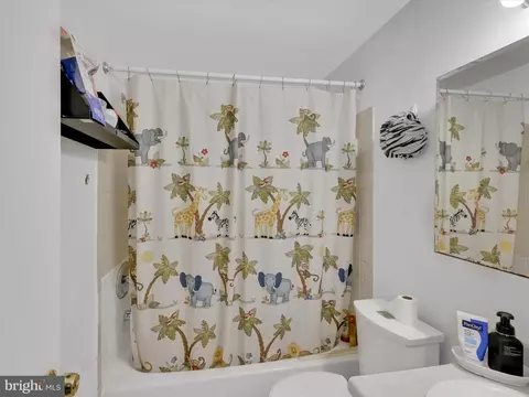 Bath - 1139 Providence Ct, Frederick, MD 21703 photo 1 of 3