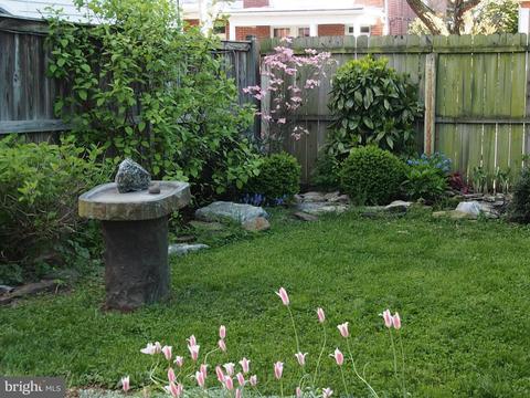 233 W 5th St, Frederick, MD 21701 photo 17