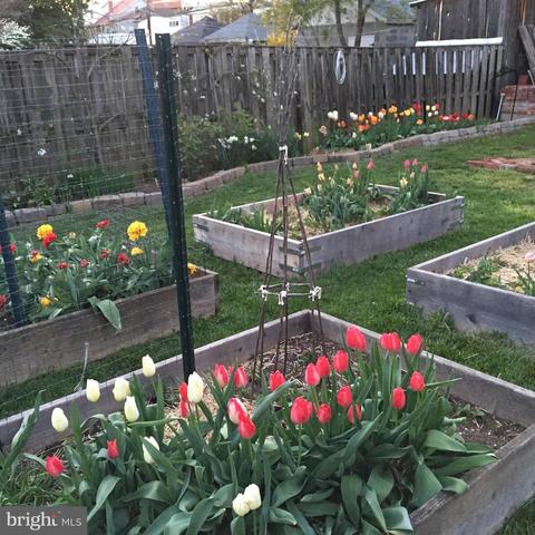 233 W 5th St, Frederick, MD 21701 photo 18