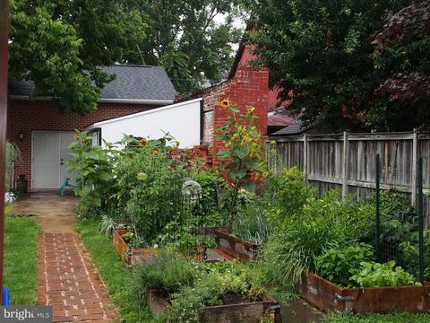 233 W 5th St, Frederick, MD 21701 photo 20