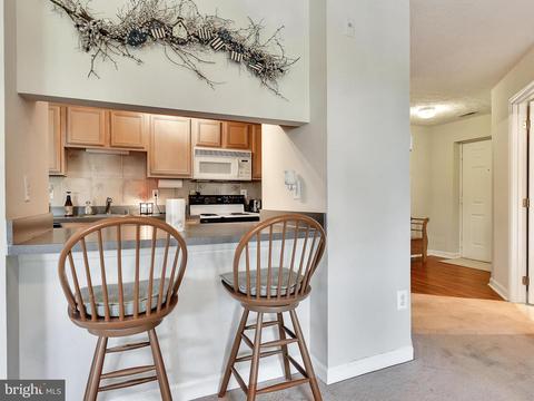 6509 Springwater Ct #6401, Frederick, MD 21701 photo 13