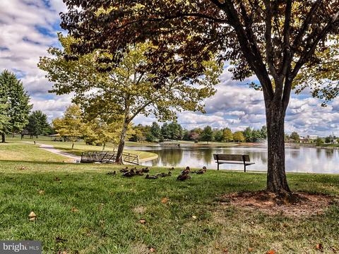 1803 Free Ter, Frederick, MD 21702 photo 50