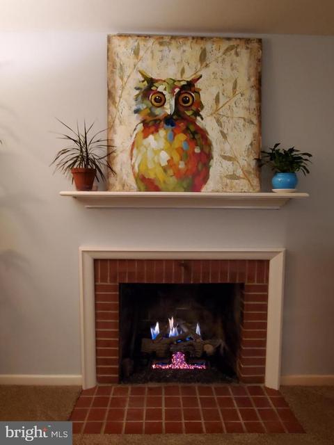 928 Shawnee Dr, Frederick, MD 21701 photo 5