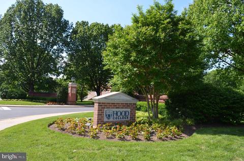 240 E 2nd St, Frederick, MD 21701 photo 37
