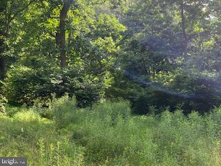 4718 Md Route 40 Turn Righ Fox Tower Rd, Smithsburg, MD 21783 photo 9