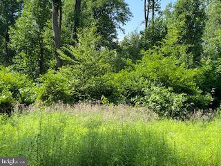 4718 Md Route 40 Turn Righ Fox Tower Rd, Smithsburg, MD 21783 photo 6