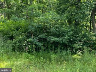 4718 Md Route 40 Turn Righ Fox Tower Rd, Smithsburg, MD 21783 photo 8