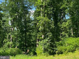 4718 Md Route 40 Turn Righ Fox Tower Rd, Smithsburg, MD 21783 photo 7